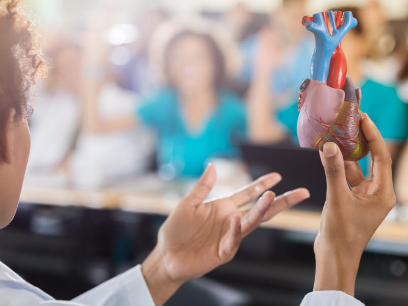 Cardiologists