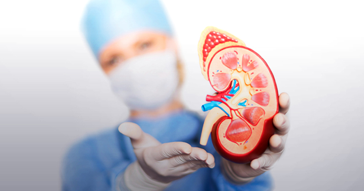 Which is the Best Hospital for Nephrology?